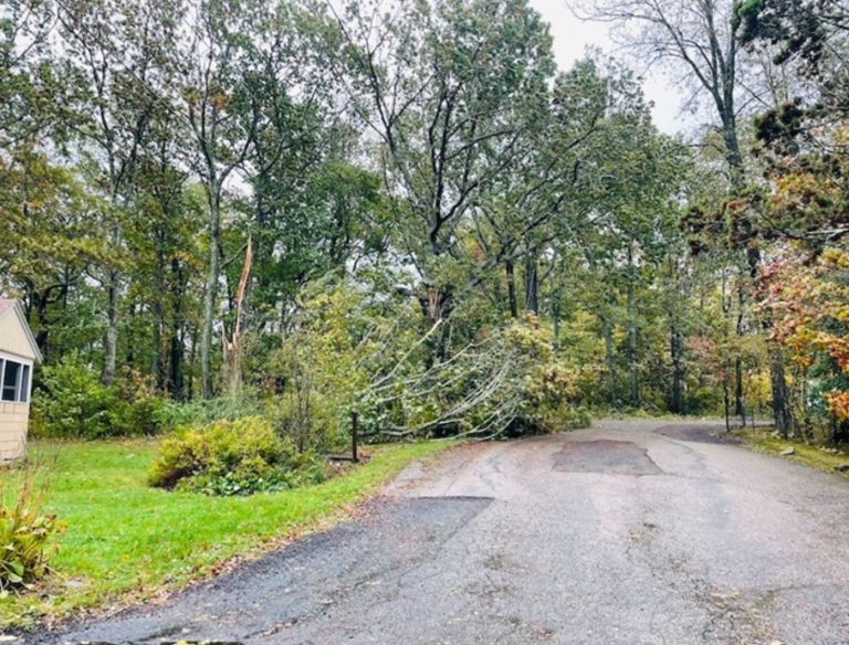 Storm damage along road