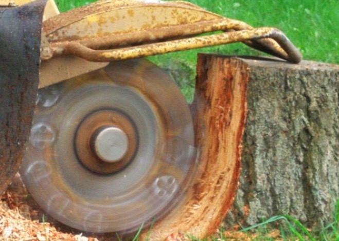 stump grinding knoxville tn