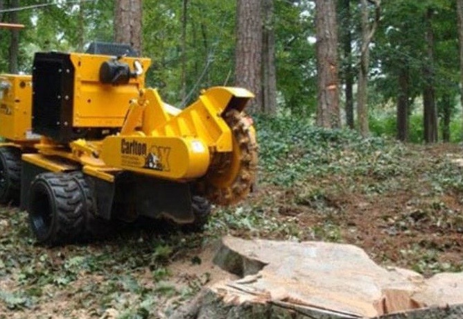 stump grinding service